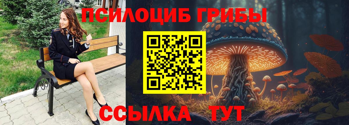 Галлюциногенные грибы Magic Shrooms Москва