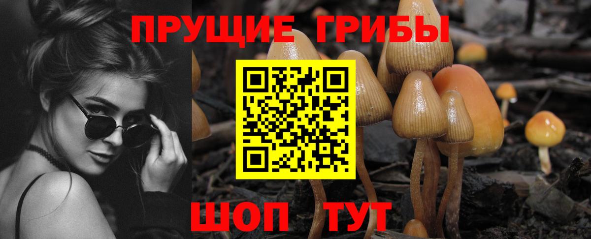 Москва  Галлюциногенные грибы GOLDEN TEACHER  Вход с VPN 